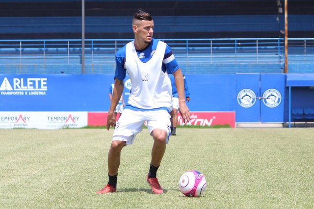 Romarinho, Tubarão Romarinho, Tubarão