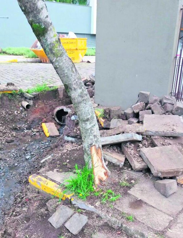 Segundo a Secretaria Municipal de Obras e Serviços Públicos, por maior que seja o cuidado, dependendo muito do tamanho da obra e do maquinário disponível no momento para a execução, algumas vezes ocorrem avarias maiores que as previstas, como é o caso dessas árvores. Segundo a Secretaria Municipal de Obras e Serviços Públicos, por maior que seja o cuidado, dependendo muito do tamanho da obra e do maquinário disponível no momento para a execução, algumas vezes ocorrem avarias maiores que as previstas, como é o caso dessas árvores.