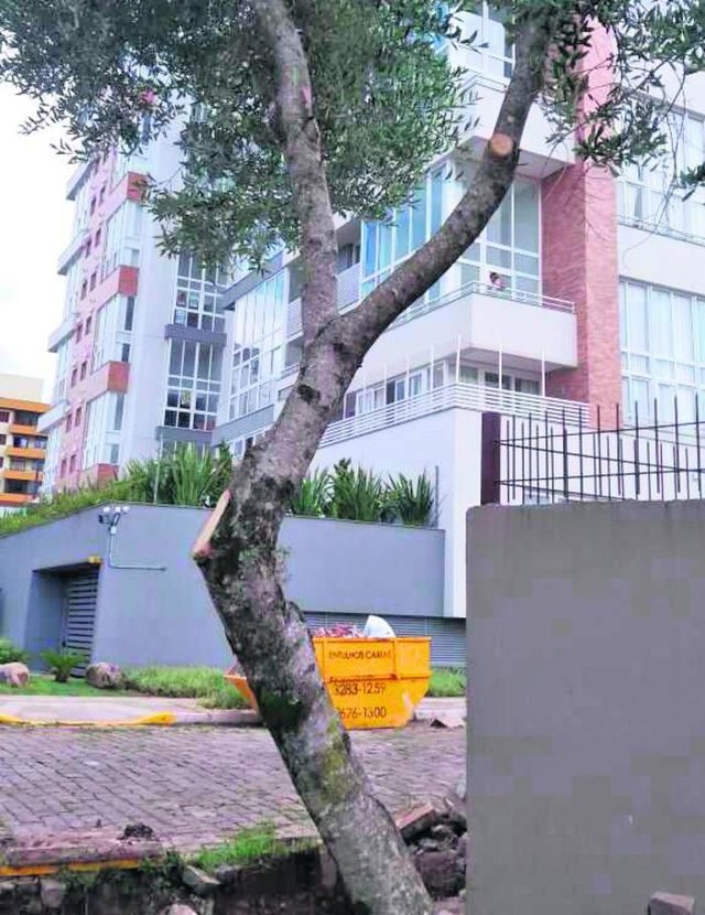 Segundo a Secretaria Municipal de Obras e Serviços Públicos, por maior que seja o cuidado, dependendo muito do tamanho da obra e do maquinário disponível no momento para a execução, algumas vezes ocorrem avarias maiores que as previstas, como é o caso dessas árvores. Segundo a Secretaria Municipal de Obras e Serviços Públicos, por maior que seja o cuidado, dependendo muito do tamanho da obra e do maquinário disponível no momento para a execução, algumas vezes ocorrem avarias maiores que as previstas, como é o caso dessas árvores.