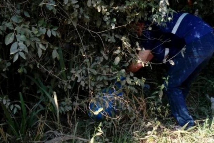 Divulgação / Polícia Civil Divulgação / Polícia Civil