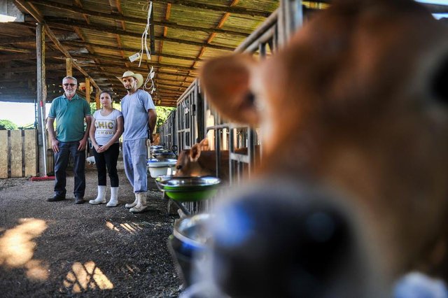 CHAPECÓ, SC, BRASIL 08.02.2017. PRODUTOR RURAL EMPREGADOR. Sr. Enedi Zanchet gera emprego na propriedade rural localizada no município de Arvoredo, SC. Jadecir José Prestes de Oliveira e Roselaine Ribeiro foram contratados para cuidar da produção leiteira e também exercem outras funções na propriedade. FOTO ANGÉLICA LÜERSEN, ESPECIAL CHAPECÓ, SC, BRASIL 08.02.2017. PRODUTOR RURAL EMPREGADOR. Sr. Enedi Zanchet gera emprego na propriedade rural localizada no município de Arvoredo, SC. Jadecir José Prestes de Oliveira e Roselaine Ribeiro foram contratados para cuidar da produção leiteira e também exercem outras funções na propriedade. FOTO ANGÉLICA LÜERSEN, ESPECIAL