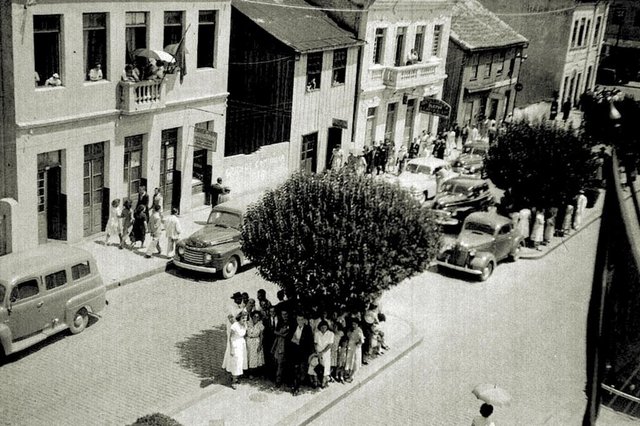 Avenida Júlio de Castilhos, entre as ruas Garibaldi e Visconde de pelotas, em meados dos anos 1940. na imagem aparecem o velho Mercadinho do Povo, instalado em um casarão de madeira de 1880 (a quarta casa a partir da esquerda). Avenida Júlio de Castilhos, entre as ruas Garibaldi e Visconde de pelotas, em meados dos anos 1940. na imagem aparecem o velho Mercadinho do Povo, instalado em um casarão de madeira de 1880 (a quarta casa a partir da esquerda).