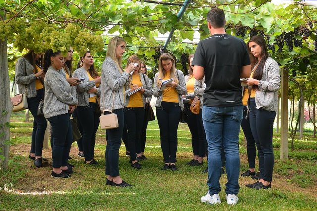 As 18 candidatas a Soberanas da Festa Nacional da Uva 2019 seguem com a agenda movimentada. Na manhã deste sábado foi a vez de uma visita a propriedade Venturin Uvas Finas, da família Venturin, em Caxias do Sul. Na ocasião, elas foram recepcionadas por Charles Venturin, que palestrou sobre os diferentes tipos de uvas plantadas na propriedade e respondeu a dúvidas sobre o cultivo de uvas finas. Além disso, as meninas acompanharam a missa de celebração da colheita, celebrada pelos padres Renato Ariotti, Cláudio Pezzoli e Élton Aristides, com a participação do Coral Stela Alpina e do tenor Giovani Marquezeli. Depois da missa, as candidatas a soberanas participaram da tradicional degustação de uva. No domingo, a agenda do final de semana se encerrou com a continuação do passeio La Cittá, com visitação as Igrejas de São Pelegrino, dos Capuchinhos e Catedral, e ao Museu dos Capuchinhos. As 18 candidatas a Soberanas da Festa Nacional da Uva 2019 seguem com a agenda movimentada. Na manhã deste sábado foi a vez de uma visita a propriedade Venturin Uvas Finas, da família Venturin, em Caxias do Sul. Na ocasião, elas foram recepcionadas por Charles Venturin, que palestrou sobre os diferentes tipos de uvas plantadas na propriedade e respondeu a dúvidas sobre o cultivo de uvas finas. Além disso, as meninas acompanharam a missa de celebração da colheita, celebrada pelos padres Renato Ariotti, Cláudio Pezzoli e Élton Aristides, com a participação do Coral Stela Alpina e do tenor Giovani Marquezeli. Depois da missa, as candidatas a soberanas participaram da tradicional degustação de uva. No domingo, a agenda do final de semana se encerrou com a continuação do passeio La Cittá, com visitação as Igrejas de São Pelegrino, dos Capuchinhos e Catedral, e ao Museu dos Capuchinhos.