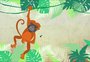 GaúchaZH Explica: por que os macacos não são os vilões da febre amarela?