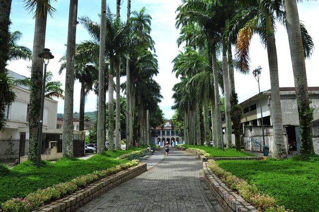 JOINVILLE,SC,BRASIL,19-02-2017.Condições das estruturas das praças públicas do município de Joinville.Rua das Palmeiras,Centro.(Foto:Salmo Duarte/A Notícia) JOINVILLE,SC,BRASIL,19-02-2017.Condições das estruturas das praças públicas do município de Joinville.Rua das Palmeiras,Centro.(Foto:Salmo Duarte/A Notícia)