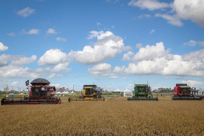 Fagner Almeida / Divulgação Fagner Almeida / Divulgação