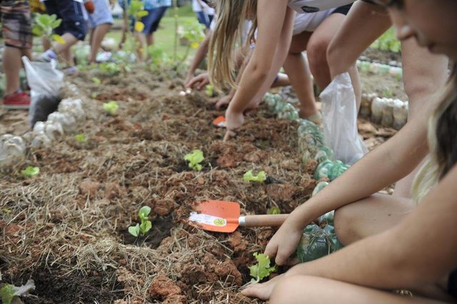 Blumenau - SC - Brasil - 17032016 - Escola Visconde de Taunay trabalha com os formas diferenciadas no aprendizado, horta, bosque, parquinho feito com pneus usados e uma casinha feita de gaffaras PET. estimulando os alunos a ter responsabilidade ambiental. Blumenau - SC - Brasil - 17032016 - Escola Visconde de Taunay trabalha com os formas diferenciadas no aprendizado, horta, bosque, parquinho feito com pneus usados e uma casinha feita de gaffaras PET. estimulando os alunos a ter responsabilidade ambiental.