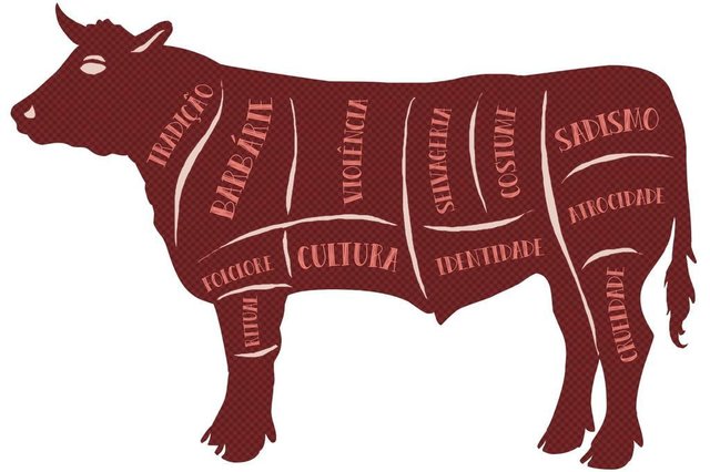 ilustração para matéria sobre a farra do boi ilustração para matéria sobre a farra do boi