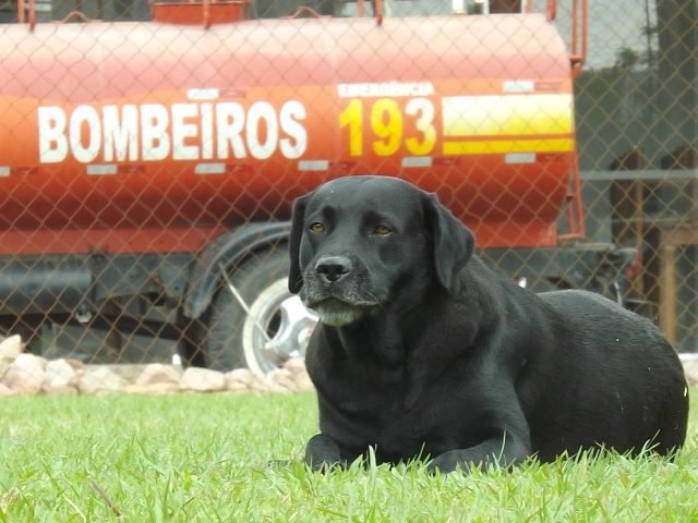 Astra atuou em diversas operações, entre elas em Ilhota e Blumenau em 2008 Astra atuou em diversas operações, entre elas em Ilhota e Blumenau em 2008