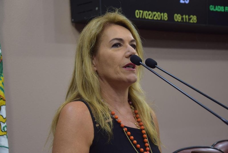 Vereadores aprovam criação de Dia Municipal da Mulher Empresária Caxiense.