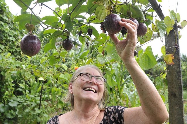 Ivone Grasmück, case, resolveu problemas de hipertensão e diabetes após ter acompanhamento nutricional, adotar alimentação saudável e criar horta ao lado de casa Ivone Grasmück, case, resolveu problemas de hipertensão e diabetes após ter acompanhamento nutricional, adotar alimentação saudável e criar horta ao lado de casa