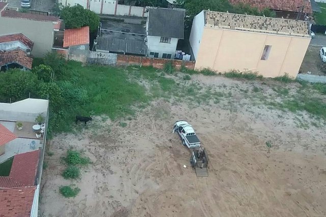 Polícia interrompe farra do boi no Rio Tavares, em Florianópolis Polícia interrompe farra do boi no Rio Tavares, em Florianópolis