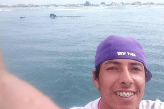 Jonatas Florentino Armida, pescador, pesca, tubarão-baleia, animais, bicho, animal, espécie, vídeo, foto, balneário arroio do silva, sul de sc, 02/04/2018 Jonatas Florentino Armida, pescador, pesca, tubarão-baleia, animais, bicho, animal, espécie, vídeo, foto, balneário arroio do silva, sul de sc, 02/04/2018