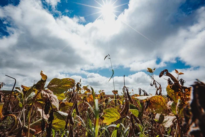 Omar Freitas / Agencia RBS Omar Freitas / Agencia RBS