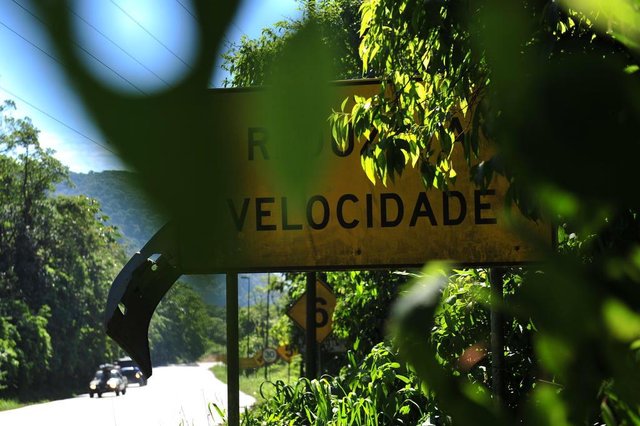 JOINVILLE,SC,BRASIL,13-04-2018.Serra Dona Francisca.Parte da frente de carro colado em placa de sinalização nos diz que provavelmente aconteceu acidente próximo ainda mais com mato tampando sinalização.(Foto:Salmo Duarte/A Notícia) JOINVILLE,SC,BRASIL,13-04-2018.Serra Dona Francisca.Parte da frente de carro colado em placa de sinalização nos diz que provavelmente aconteceu acidente próximo ainda mais com mato tampando sinalização.(Foto:Salmo Duarte/A Notícia)
