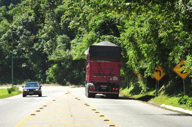 JOINVILLE,SC,BRASIL,13-04-2018.Serra Dona Francisca.Mato cobre sinalização na decida da serra.(Foto:Salmo Duarte/A Notícia) JOINVILLE,SC,BRASIL,13-04-2018.Serra Dona Francisca.Mato cobre sinalização na decida da serra.(Foto:Salmo Duarte/A Notícia)