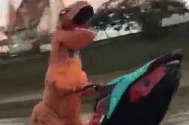dinossauro no rio itajaí-açu dinossauro no rio itajaí-açu