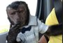 Latino adota novo animal de estimação após a morte do macaco Twelves