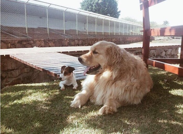 Reprodução / Instagram @marcelatemer Reprodução / Instagram @marcelatemer