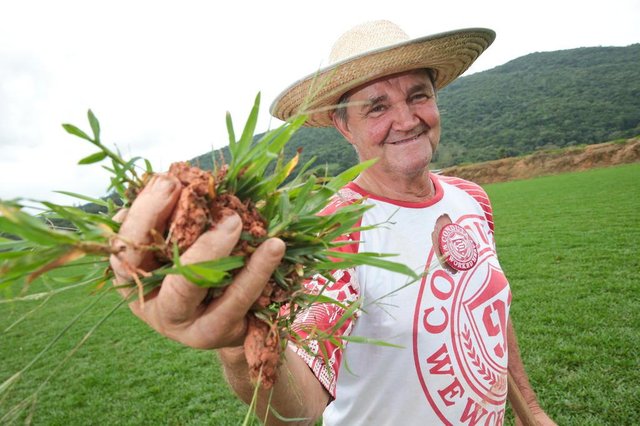RÚSSIA, BIGUAÇÚ, SC, BRASIL, 07/05/2018: Rússia é uma localidade do município de Biguaçú. Na foto: Francisco Reitz (Foto: CRISTIANO ESTRELA / DIÁRIO CATARINENSE) RÚSSIA, BIGUAÇÚ, SC, BRASIL, 07/05/2018: Rússia é uma localidade do município de Biguaçú. Na foto: Francisco Reitz (Foto: CRISTIANO ESTRELA / DIÁRIO CATARINENSE)