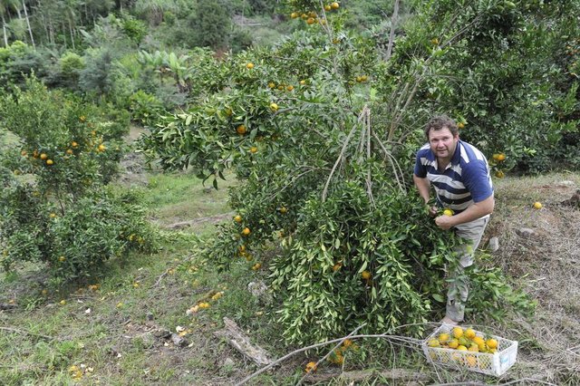 Blumenau - SC - Brasil - 17052018 - Blumenau agricola, especial fim de semana, case sr. Ademir Tribess. Blumenau - SC - Brasil - 17052018 - Blumenau agricola, especial fim de semana, case sr. Ademir Tribess.