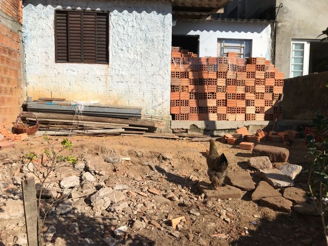 Clínica geriátrica que funcionava junto a galinheiro na Zona Norte é interditada Clínica geriátrica que funcionava junto a galinheiro na Zona Norte é interditada