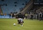 Jogadores do Grêmio analisam vitória do Palmeiras na Arena