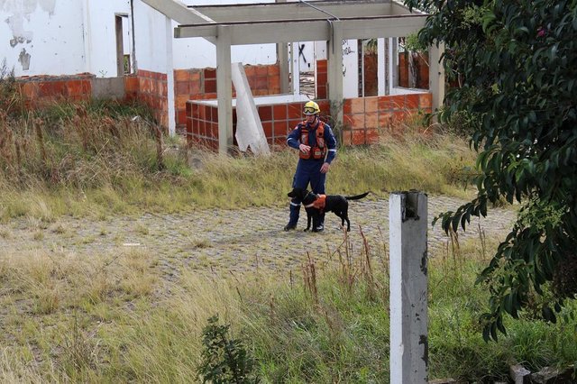 SC tem 10 cães bombeiros à disposição