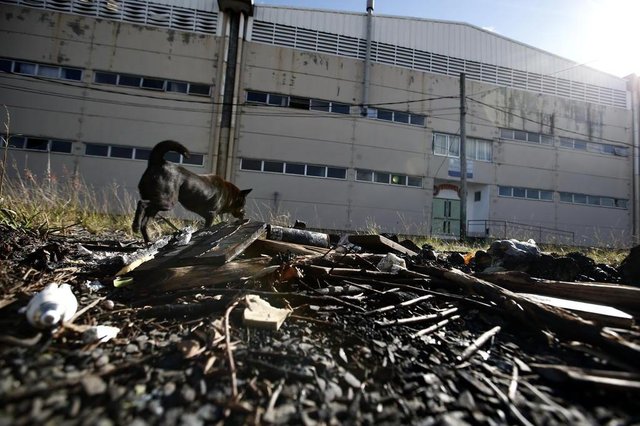 PORTO ALEGRE, RS, BRASIL - 2018.06.13 - Falta de luz no Complexo Cultural Porto Seco. O portão sempre aberto facilita a entrada de pessoas que roubam cabos, usam drogas e realizam prostituição. (Foto: ANDRÉ ÁVILA/ Agência RBS) PORTO ALEGRE, RS, BRASIL - 2018.06.13 - Falta de luz no Complexo Cultural Porto Seco. O portão sempre aberto facilita a entrada de pessoas que roubam cabos, usam drogas e realizam prostituição. (Foto: ANDRÉ ÁVILA/ Agência RBS)