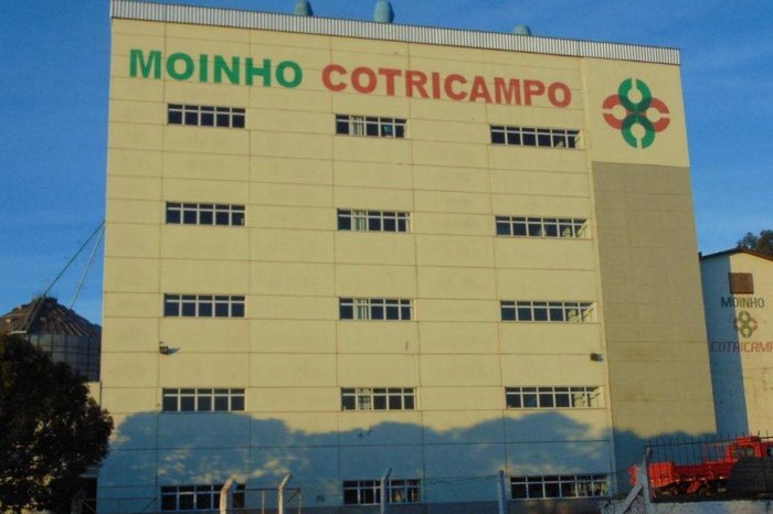 Divulgação / Cotricampo Divulgação / Cotricampo