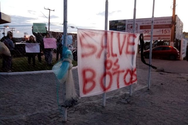 Protesto contra pesca irregular que causa morte de botos Protesto contra pesca irregular que causa morte de botos