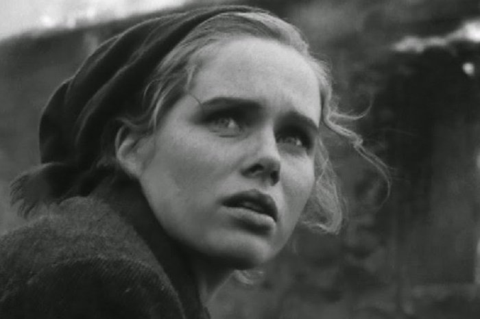 Divulgação Divulgação