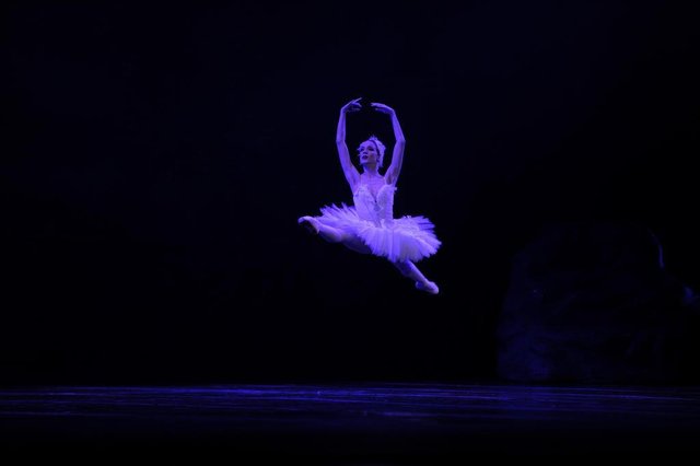 Noite de Abertura com o balé Bolshoi apresentando Lago do Cisnei Noite de Abertura com o balé Bolshoi apresentando Lago do Cisnei
