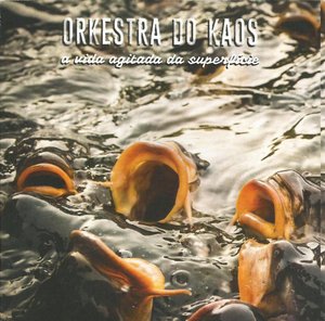 Reprodução / Reprodução Reprodução / Reprodução