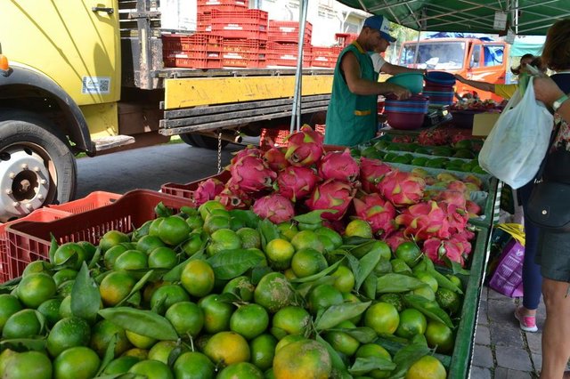A Feira Ecológica de Caxias do Sul abrirá normalmente neste sábado. O atendimento ocorre das 6h30min às 11h30min, na Praça das Feiras, entre a Avenida Rio Branco e a Rua Feijó Júnior, no bairro São Pelegrino. Participam 20 bancas de agricultores de Caxias do Sul, Ipê, Bom Princípio, Antônio Prado, Montenegro, Nova Roma do Sul e Torres, todos integrantes da Rede Ecovida de Agroecologia. Toda quarta-feira, a Feira Ecológica atende na Rua Santos Dumont, bairro Lourdes, das 12h às 18h A Feira Ecológica de Caxias do Sul abrirá normalmente neste sábado. O atendimento ocorre das 6h30min às 11h30min, na Praça das Feiras, entre a Avenida Rio Branco e a Rua Feijó Júnior, no bairro São Pelegrino. Participam 20 bancas de agricultores de Caxias do Sul, Ipê, Bom Princípio, Antônio Prado, Montenegro, Nova Roma do Sul e Torres, todos integrantes da Rede Ecovida de Agroecologia. Toda quarta-feira, a Feira Ecológica atende na Rua Santos Dumont, bairro Lourdes, das 12h às 18h