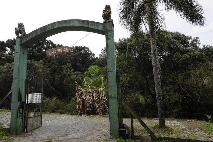 Maicon Damasceno / Agencia RBS Maicon Damasceno / Agencia RBS