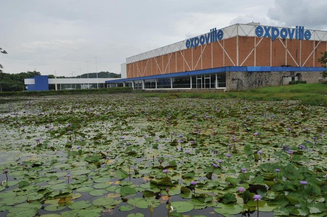 JOINVILLE,SC,BRASIL,26-01-2017.Expoville.(Foto:Salmo Duarte/Agência RBS,Geral) JOINVILLE,SC,BRASIL,26-01-2017.Expoville.(Foto:Salmo Duarte/Agência RBS,Geral)