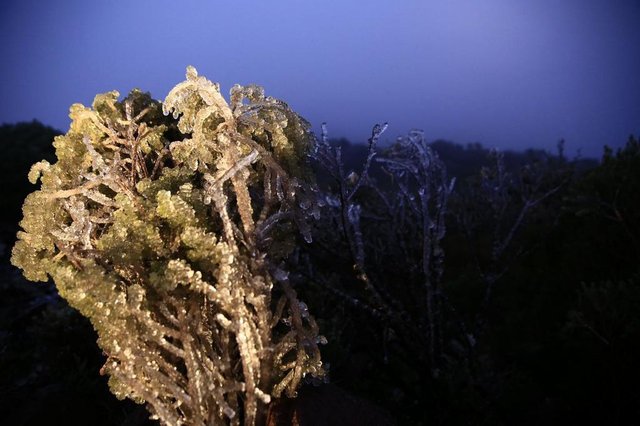 Amanhecer gelado no Morro das Antenas, em Urupema. -3ºC no termômetro, sem neve no momento. Fotos: Felipe Carneiro Amanhecer gelado no Morro das Antenas, em Urupema. -3ºC no termômetro, sem neve no momento. Fotos: Felipe Carneiro
