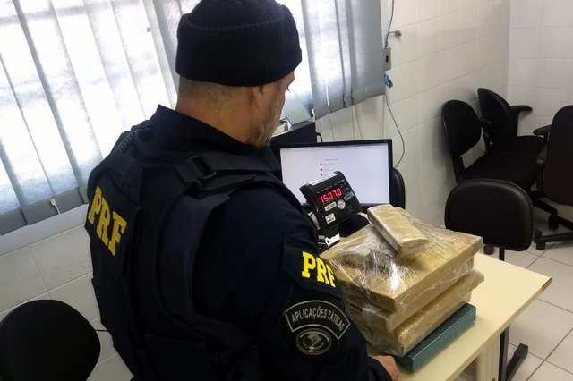 Maconha apreendida Palhoça Maconha apreendida Palhoça