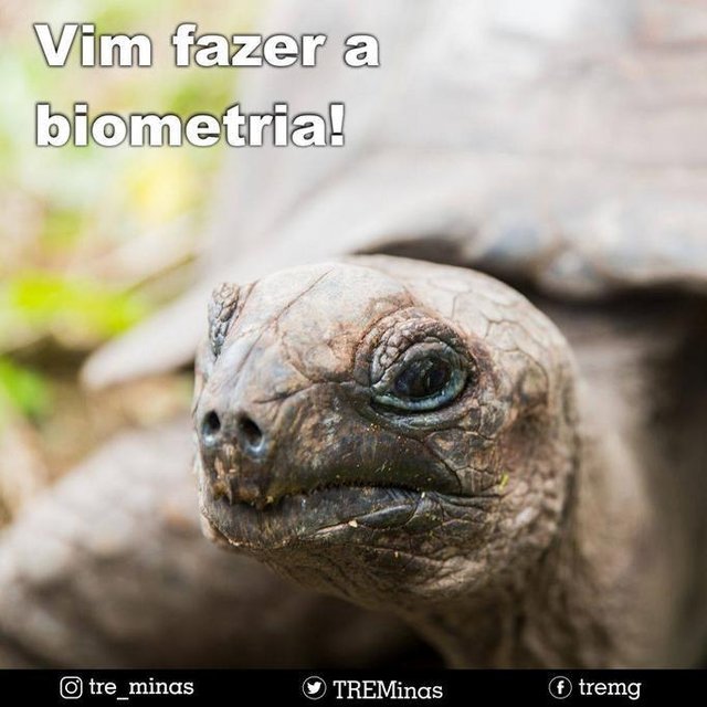 Card do TRE de Minas sobre a biometria. Card do TRE de Minas sobre a biometria.