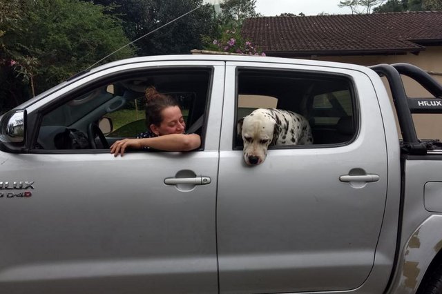 Cão é resgatado de tubulação na Velha, em Blumenau Cão é resgatado de tubulação na Velha, em Blumenau