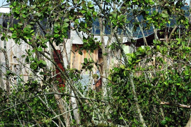 JOINVILLE,SC,BRASIL,28-08-2018.Crime de descarte irregular de resíduos sólidos e contrução irregula em área de preservação permanente.(Foto:Salmo Duarte/A Notícia) JOINVILLE,SC,BRASIL,28-08-2018.Crime de descarte irregular de resíduos sólidos e contrução irregula em área de preservação permanente.(Foto:Salmo Duarte/A Notícia)