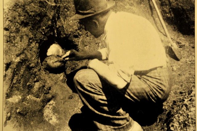 40 anos do Museu de Sambaqui: ações mais recentes e reproduções de imagens de seu Guilherme Tiburtius.Indexador: Diorgenes Pandini 40 anos do Museu de Sambaqui: ações mais recentes e reproduções de imagens de seu Guilherme Tiburtius.Indexador: Diorgenes Pandini