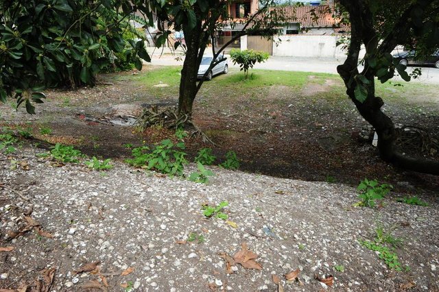 JOINVILLE,SC,BRASIL,29-08-2018.Joinville tem em seu território 42 sambaquis tombados pelo Iphan (Instituto do Patrimônio Histórico e Artístico Nacional),este localizado no bairro Espinheiro.(Foto:Salmo Duarte/A Notícia) JOINVILLE,SC,BRASIL,29-08-2018.Joinville tem em seu território 42 sambaquis tombados pelo Iphan (Instituto do Patrimônio Histórico e Artístico Nacional),este localizado no bairro Espinheiro.(Foto:Salmo Duarte/A Notícia)
