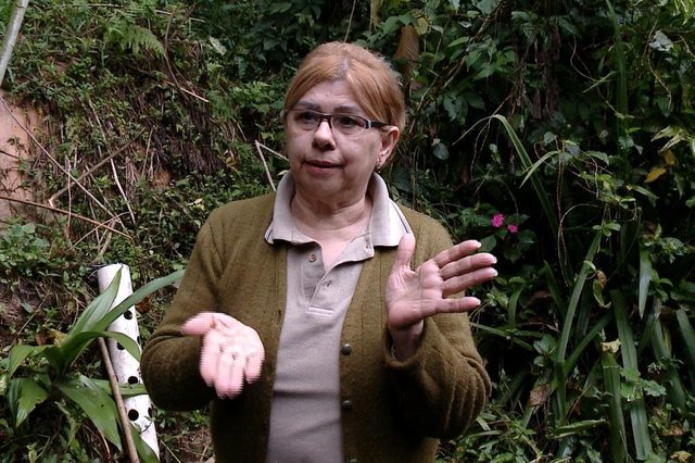 Defesa CivilImóvel ameaça desabar e preocupa famílias da Rua Araranguá, em BlumenauA situação já se arrasta há quase dois anos e prefeitura diz não ter previsão de quando vai conseguir demolir a casa Uma casa na Rua Araranguá, no bairro Garcia em Blumenau, ameaça desmoronar. O problema não é de hoje, segundo a moradora Irene da Silva Porto a situação já se estende desde 12 de janeiro do ano passado. Naquele dia, parte da varanda caiu. A Defesa Civil foi acionada e pediu para os moradores saírem, inclusive as famílias que moram na parte de baixo, que também poderiam ser afetadas.A Irene saiu com a família, mas como não houve uma solução para a casa que ameaça cair, ela precisou voltar para a residência dela e agora vive com medo. Se o imóvel da parte de cima desabar, segundo Irene, pode afetar ao menos cinco famílias, que moram no entorno. - Tem três semanas que eles disseram que viriam com a empresa para demolir a casa, mas ainda não apareceram ¿ lamenta a dona de casa. Questionada pela reportagem da NSC, a Secretaria Municipal de Conservação e Manutenção Urbana (Seurb) disse, por meio da assessoria de imprensa, não ter previsão de quando irá fazer a demolição. Afirmou ainda que, se necessário, enviará um engenheiro ao local para reavaliar e classificar as prioridades.A prefeitura informou que os recursos do Governo Federal que vieram para Blumenau, destinados à demolição de casas na Rua Araranguá, não são suficientes para a execução de todos os trabalhos. - Foi repassado ao município o valor de R$ 705 mil para a recuperação de ruas, pontes, estradas e outros bens públicos, entretanto, somente uma pequena parte deste recurso é para o serviço de demolição de casas. Com isso, será necessário que a prefeitura complemente com recursos próprios, o que está acontecendo e então as demolições ocorrerão de acordo com o orçamento e as condições climáticas ¿ declarou a administração municipal. Com informações de Vanessa Nora, NSC TV Defesa CivilImóvel ameaça desabar e preocupa famílias da Rua Araranguá, em BlumenauA situação já se arrasta há quase dois anos e prefeitura diz não ter previsão de quando vai conseguir demolir a casa Uma casa na Rua Araranguá, no bairro Garcia em Blumenau, ameaça desmoronar. O problema não é de hoje, segundo a moradora Irene da Silva Porto a situação já se estende desde 12 de janeiro do ano passado. Naquele dia, parte da varanda caiu. A Defesa Civil foi acionada e pediu para os moradores saírem, inclusive as famílias que moram na parte de baixo, que também poderiam ser afetadas.A Irene saiu com a família, mas como não houve uma solução para a casa que ameaça cair, ela precisou voltar para a residência dela e agora vive com medo. Se o imóvel da parte de cima desabar, segundo Irene, pode afetar ao menos cinco famílias, que moram no entorno. - Tem três semanas que eles disseram que viriam com a empresa para demolir a casa, mas ainda não apareceram ¿ lamenta a dona de casa. Questionada pela reportagem da NSC, a Secretaria Municipal de Conservação e Manutenção Urbana (Seurb) disse, por meio da assessoria de imprensa, não ter previsão de quando irá fazer a demolição. Afirmou ainda que, se necessário, enviará um engenheiro ao local para reavaliar e classificar as prioridades.A prefeitura informou que os recursos do Governo Federal que vieram para Blumenau, destinados à demolição de casas na Rua Araranguá, não são suficientes para a execução de todos os trabalhos. - Foi repassado ao município o valor de R$ 705 mil para a recuperação de ruas, pontes, estradas e outros bens públicos, entretanto, somente uma pequena parte deste recurso é para o serviço de demolição de casas. Com isso, será necessário que a prefeitura complemente com recursos próprios, o que está acontecendo e então as demolições ocorrerão de acordo com o orçamento e as condições climáticas ¿ declarou a administração municipal. Com informações de Vanessa Nora, NSC TV