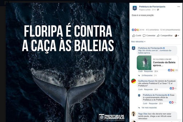 Prefeitura de Florianópolis publicou em seu perfil oficial no Facebook arte que manifesta posição contrária à liberação da caça de baleia Prefeitura de Florianópolis publicou em seu perfil oficial no Facebook arte que manifesta posição contrária à liberação da caça de baleia