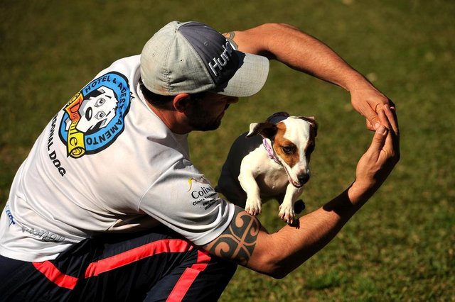 CAXIAS DO SUL, RS, BRASIL, 18/08/2017. Rodrigo Lunardi, proprietário do Hotel e adestramento para cachorros Dogville, fala do mercado pet em Caxias, em entrevista ao caderno Serra+. (Diogo Sallaberry/Agência RBS) CAXIAS DO SUL, RS, BRASIL, 18/08/2017. Rodrigo Lunardi, proprietário do Hotel e adestramento para cachorros Dogville, fala do mercado pet em Caxias, em entrevista ao caderno Serra+. (Diogo Sallaberry/Agência RBS)