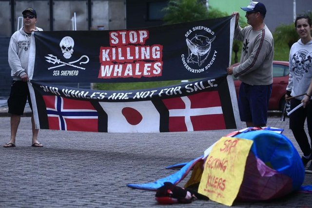Pare de matar baleias diz o cartaz apresentado pelos manifestantes