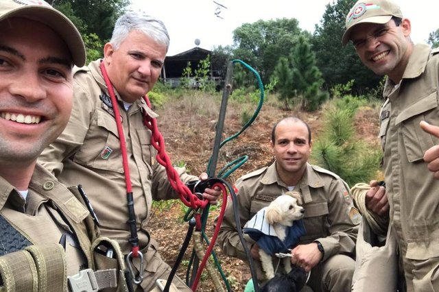 Policiais militares de Balneário Camboriú fazem operação para resgatar cachorros Policiais militares de Balneário Camboriú fazem operação para resgatar cachorros