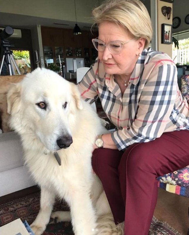 Candidata a vice-presidente na chapa de Geraldo Alckmin (PSDB), senadora Ana Amélia Lemos com cão de amigos. Candidata a vice-presidente na chapa de Geraldo Alckmin (PSDB), senadora Ana Amélia Lemos com cão de amigos.